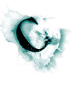 My Blog